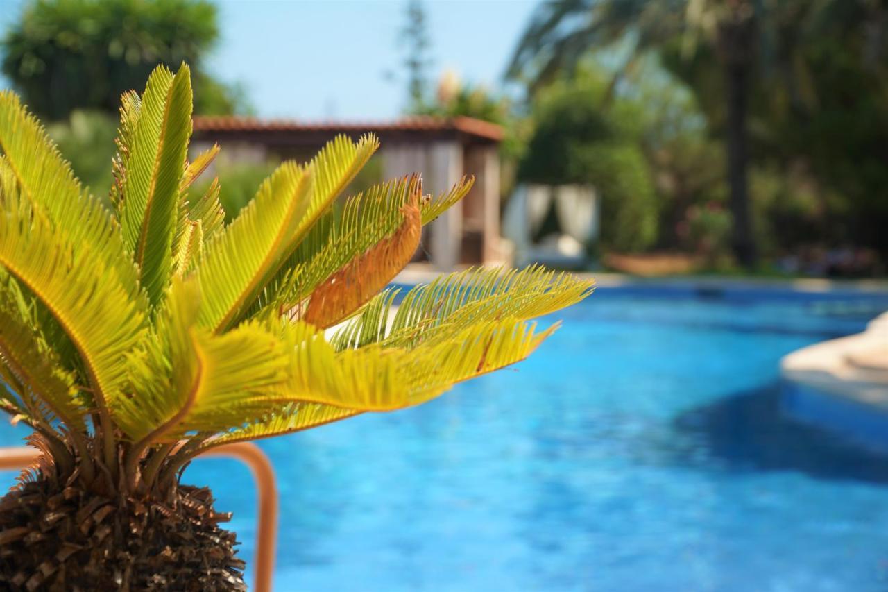 Agroturismo Finca Sa Tanca Cala D´Or Exterior foto