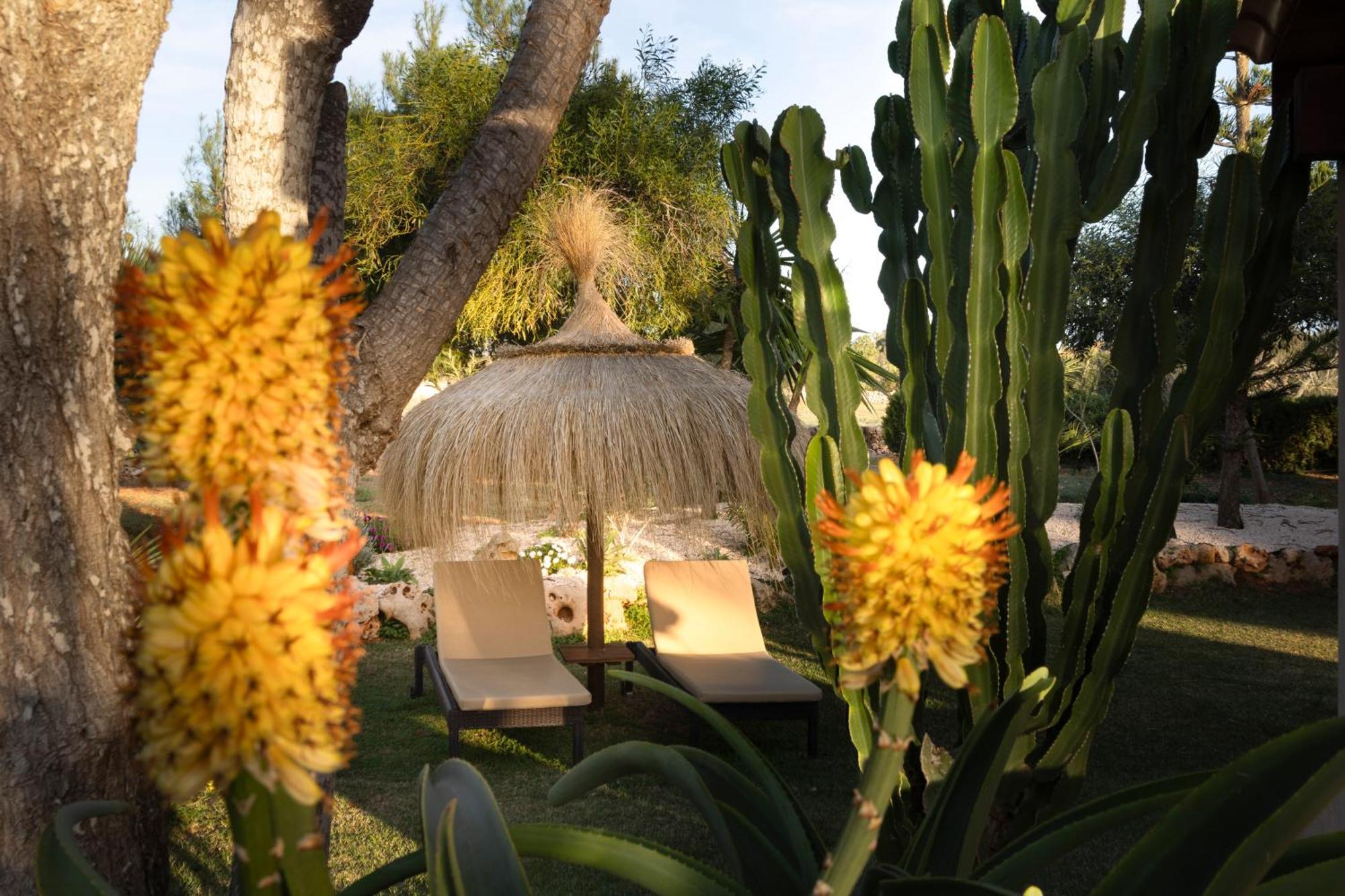 Agroturismo Finca Sa Tanca Cala D´Or Exterior foto