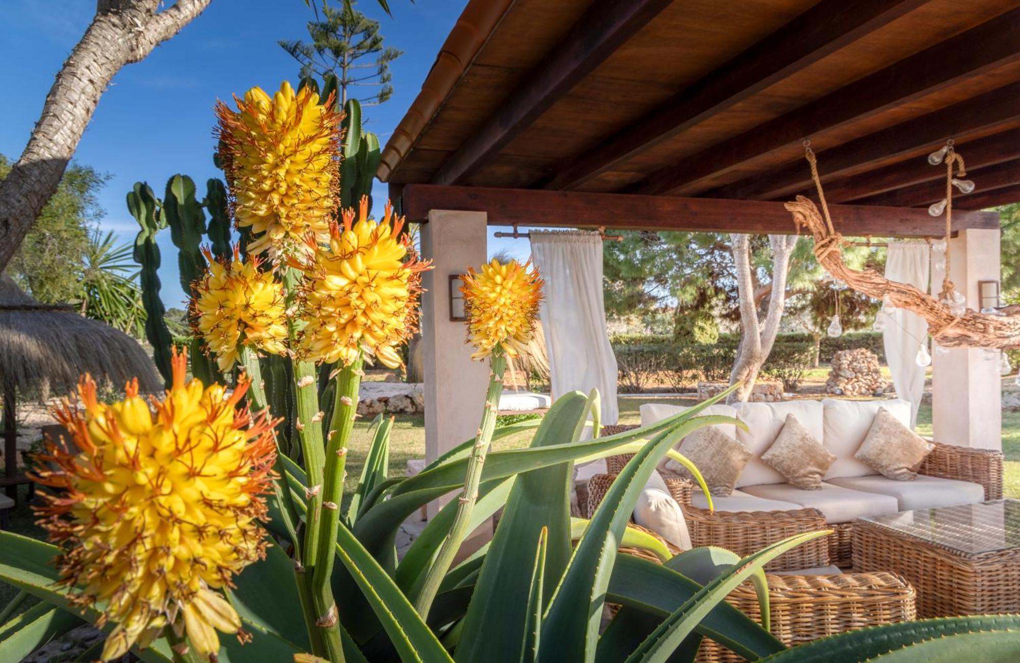 Agroturismo Finca Sa Tanca Cala D´Or Exterior foto